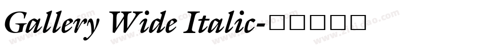 Gallery Wide Italic字体转换